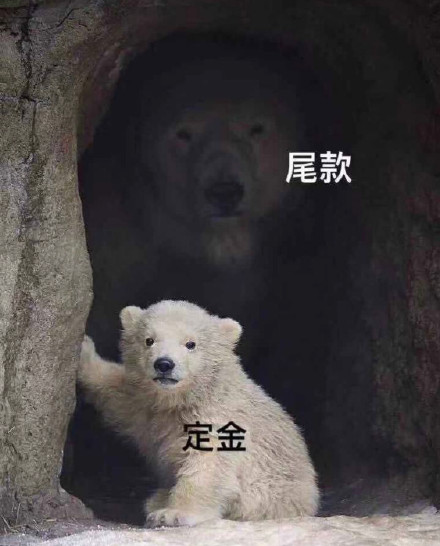 付尾款表情包大全