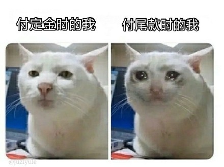 付尾款表情包大全