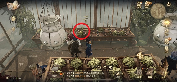 哈利波特魔法觉醒不同的植物有不同的用途怎么找