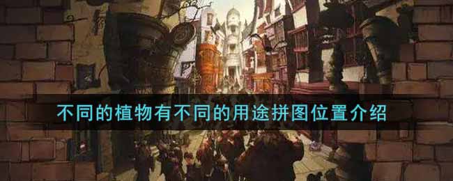 《哈利波特：魔法觉醒》不同的植物有不同的用途拼图位置介绍