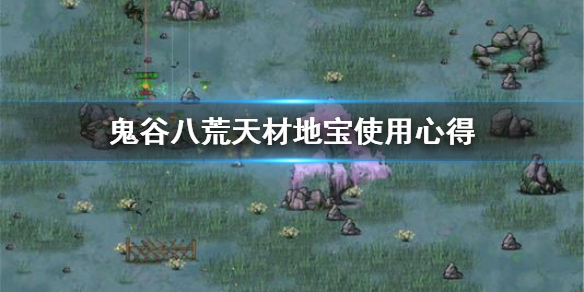 《鬼谷八荒》天材地宝怎么用？天材地宝使用心得