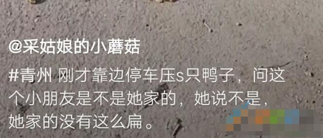 QQ截图20211105114949.jpg