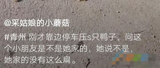 我家的鸭子没这么扁是什么梗