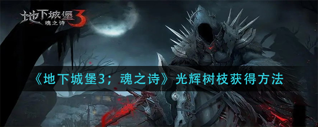 《地下城堡3；魂之诗》光辉树枝获得方法