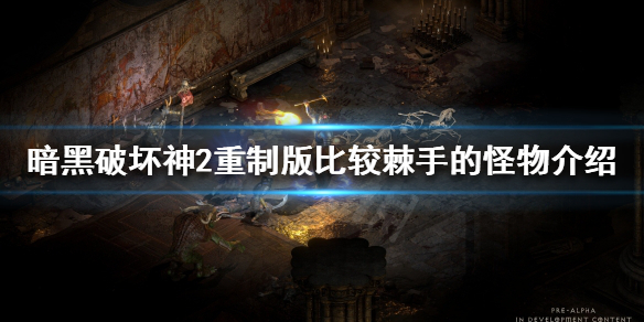 《暗黑破坏神2重制版》有哪些棘手的怪？比较棘手的怪物介绍