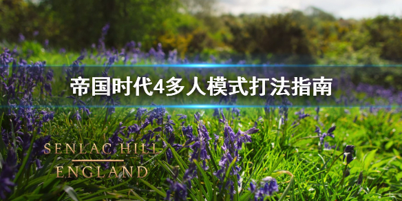 《帝国时代4》PVP怎么打？PVP要点分享
