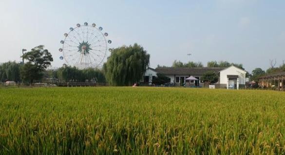 蚂蚁新村11月5日：被称为“华夏第一钢村”的村子是？