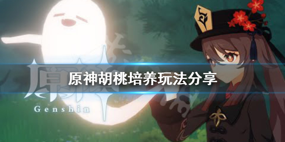 《原神》胡桃怎么培养？胡桃培养玩法分享