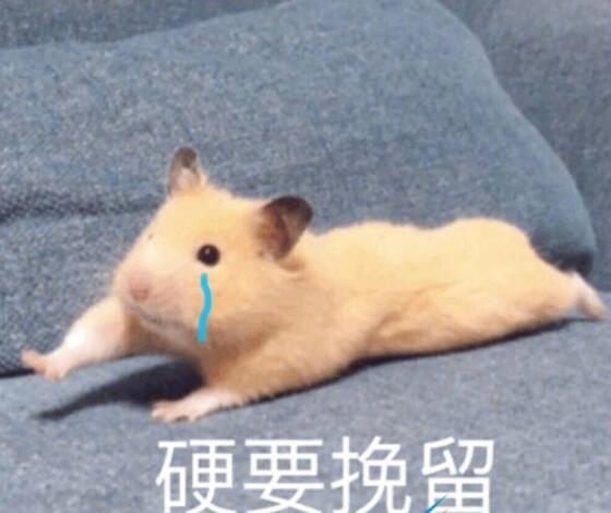 QQ截图20211111163801.jpg