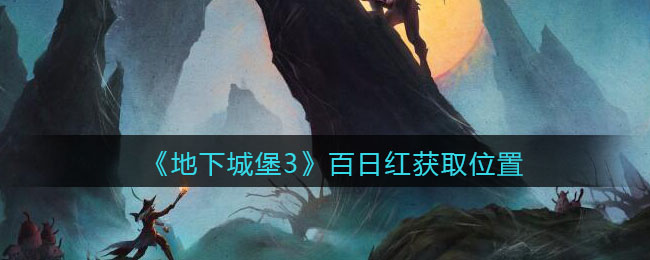 《地下城堡3：魂之诗》百日红获取位置