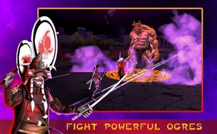 忍者战士黑暗灵魂影骑士游戏中文版（Ninja Warriors Dark Soul Shadow Knight）