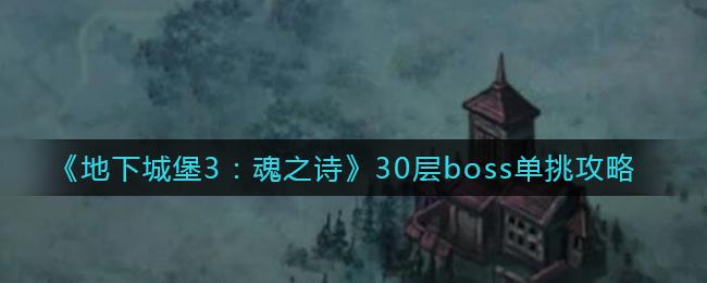 《地下城堡3：魂之诗》30层boss单挑攻略