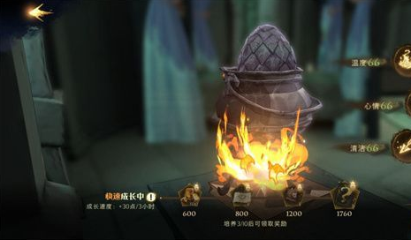 《哈利波特：魔法觉醒》龙蛋养成攻略