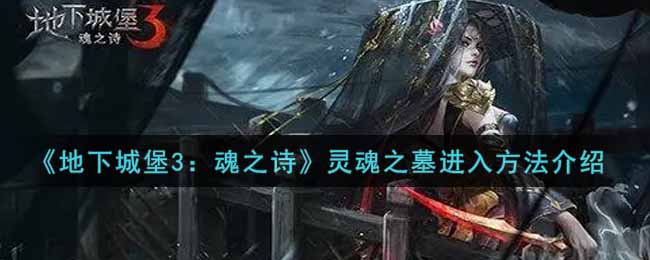 《地下城堡3：魂之诗》灵魂之墓进入方法介绍