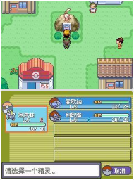 《口袋妖怪永恒之沫3.0》一周目图文攻略流程分享