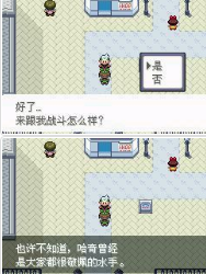 《口袋妖怪永恒之沫3.0》一周目图文攻略流程分享