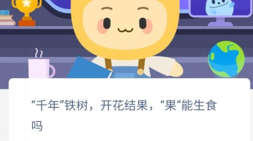 千年铁树开花结果果能生食吗