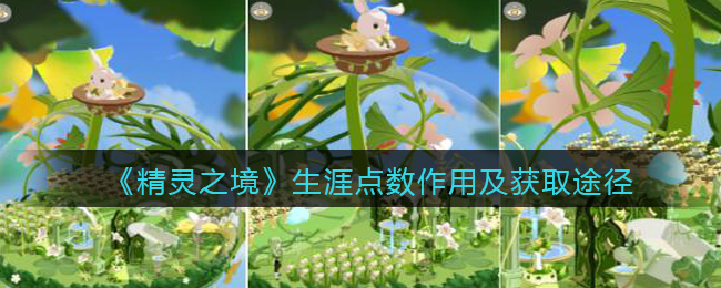 《精灵之境》生涯点数作用及获取途径