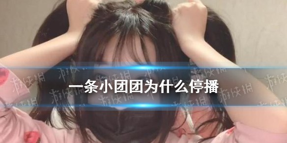一条小团团宣布停播是怎么回事
