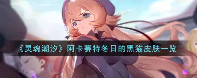 《灵魂潮汐》阿卡赛特冬日的黑猫皮肤一览