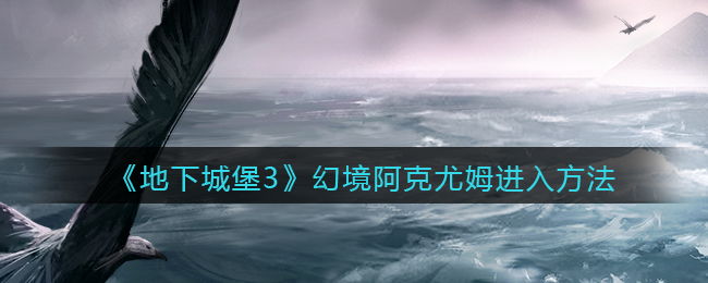 《地下城堡3：魂之诗》幻境阿克尤姆进入方法