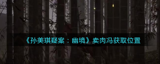 《孙美琪疑案：幽境》五级线索——卖肉冯