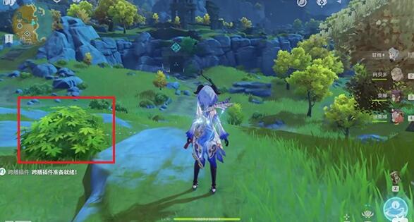 1637803698687861.jpg 2.2.jpg