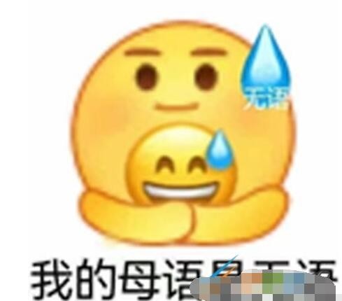我的母语是无语是什么梗
