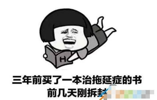 ddl是第一生产力是什么梗