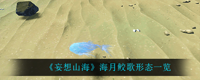 《妄想山海》海月鲛歌形态一览