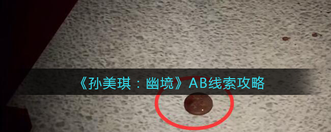 《孙美琪疑案：幽境》五级线索攻略——AB