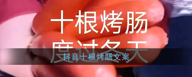 抖音十根烤肠文案