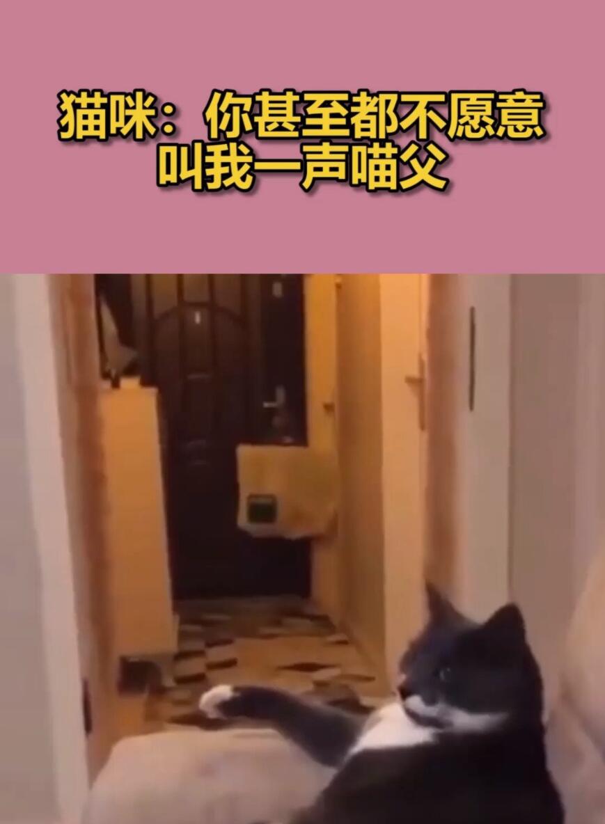 1638148452164237.jpg