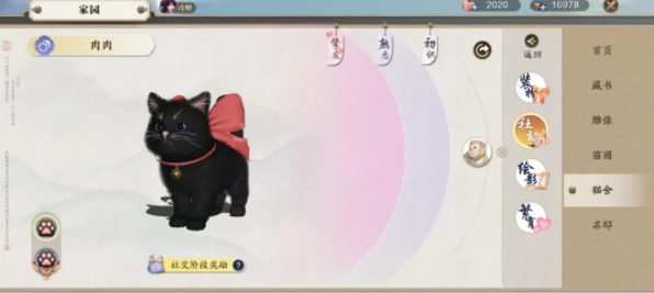 《天涯明月刀手游》猫咪社交玩法攻略