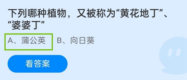 下列哪种植物，又被称为“黄花地丁”、“婆婆丁”