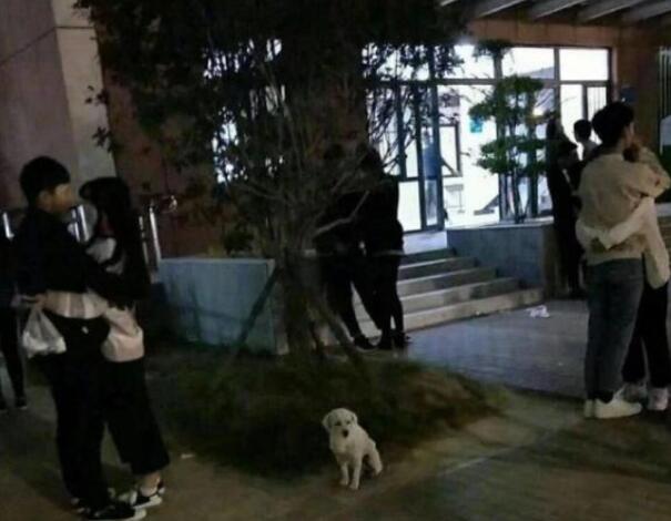 QQ截图20211201091459.jpg