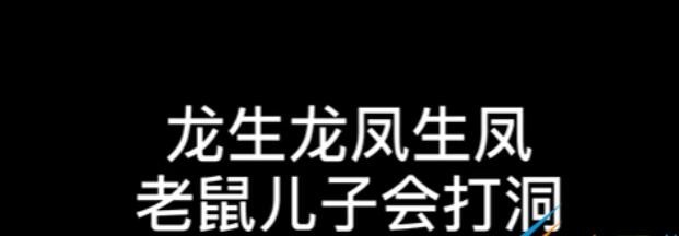 社达是什么梗