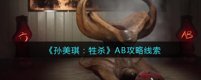 《孙美琪疑案：牲杀》五级线索——AB