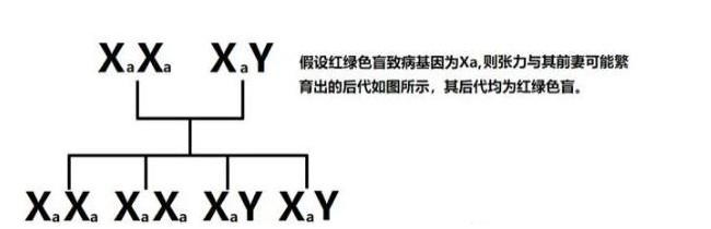 《我是谜》637庇难所之倒吊人真相答案攻略