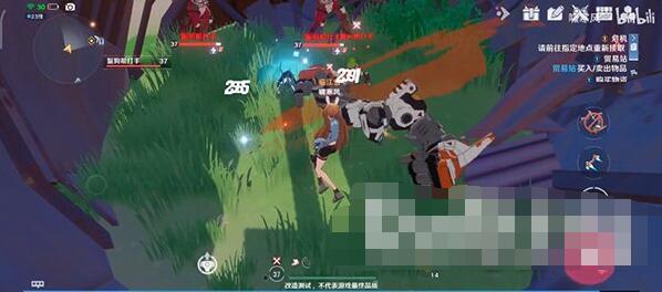 z2.jpg