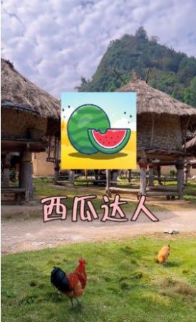 西瓜达人游戏领红包福利版app