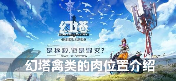 幻塔禽类的肉位置介绍