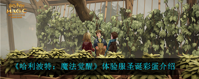 《哈利波特：魔法觉醒》体验服圣诞彩蛋介绍