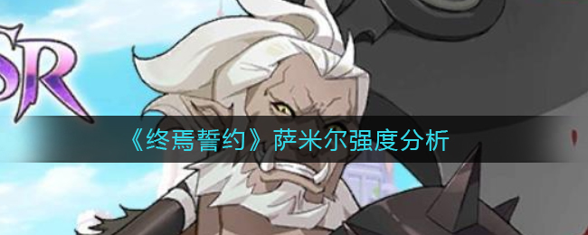 《终焉誓约》萨米尔强度分析