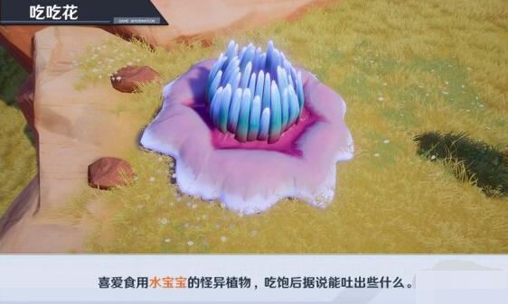 1639968923969422.jpg 10.jpg