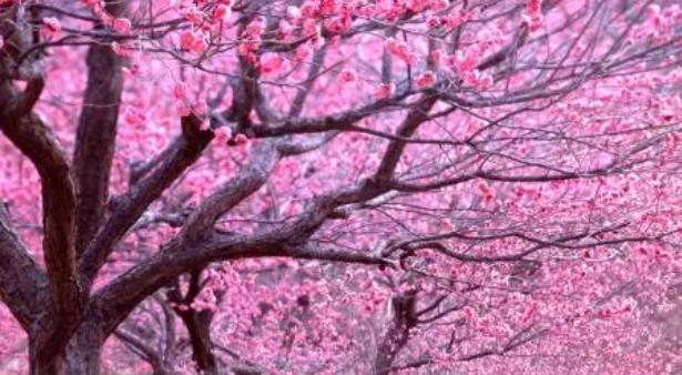 1640314789404014.jpg 20211224103708_22829.jpg