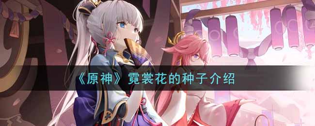 《原神》霓裳花的种子介绍