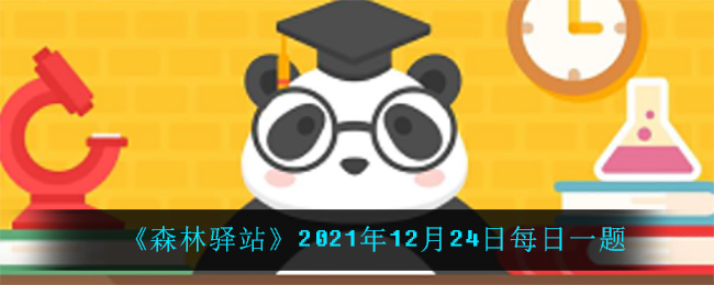 《森林驿站》2021年12月24日每日一题