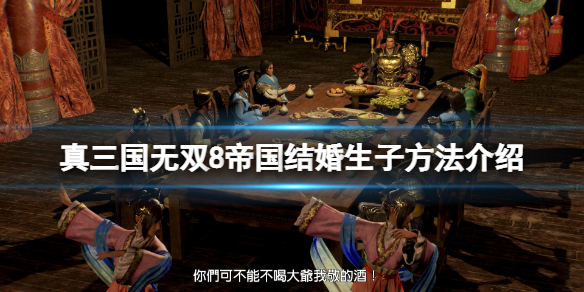 《真三国无双8帝国》怎么结婚？结婚生子方法介绍