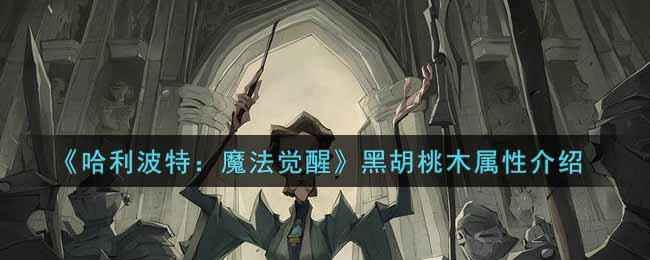 《哈利波特：魔法觉醒》黑胡桃木属性介绍